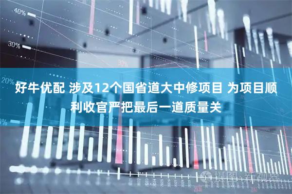 好牛优配 涉及12个国省道大中修项目 为项目顺利收官严把最后一道质量关