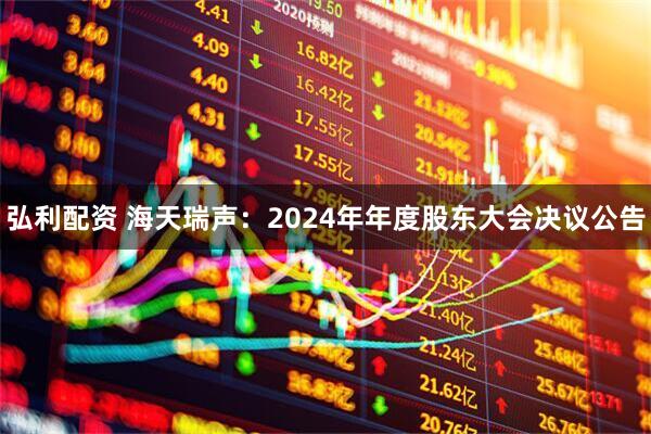 弘利配资 海天瑞声：2024年年度股东大会决议公告