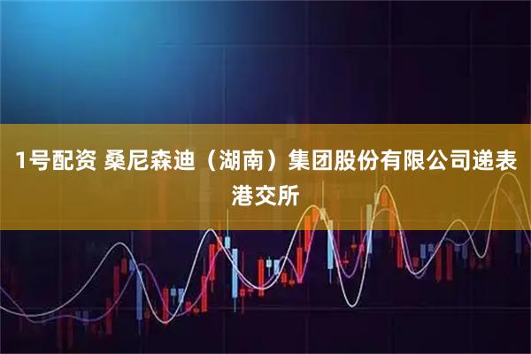 1号配资 桑尼森迪（湖南）集团股份有限公司递表港交所
