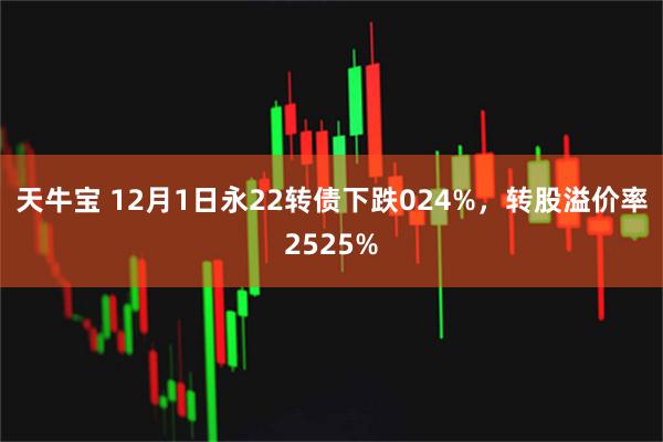 天牛宝 12月1日永22转债下跌024%，转股溢价率2525%