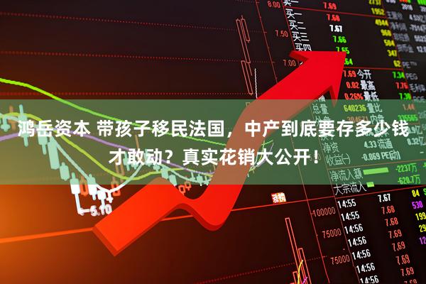 鸿岳资本 带孩子移民法国，中产到底要存多少钱才敢动？真实花销大公开！
