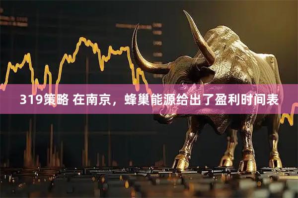 319策略 在南京，蜂巢能源给出了盈利时间表