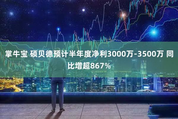掌牛宝 硕贝德预计半年度净利3000万-3500万 同比增超867%